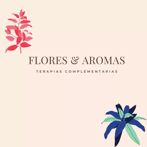 perfil-cliente
